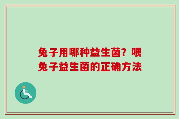 兔子用哪种益生菌?喂兔子益生菌的正确方法 兔子用哪种益生菌?喂兔子益生菌的正确方法