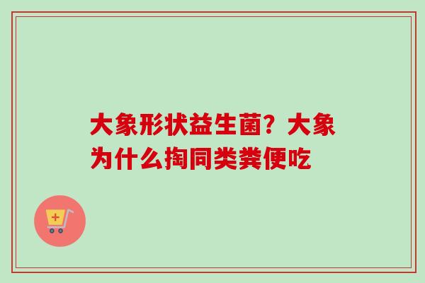 大象形状益生菌？大象为什么掏同类粪便吃