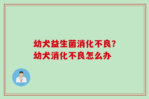 幼犬益生菌？幼犬怎么办