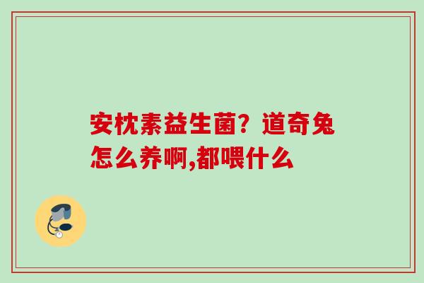 安枕素益生菌？道奇兔怎么养啊,都喂什么