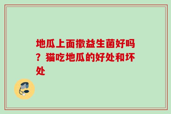 地瓜上面撒益生菌好吗？猫吃地瓜的好处和坏处