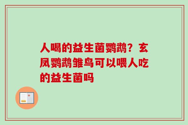 人喝的益生菌鹦鹉？玄凤鹦鹉雏鸟可以喂人吃的益生菌吗