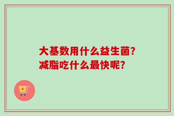 大基数用什么益生菌？减脂吃什么快呢？