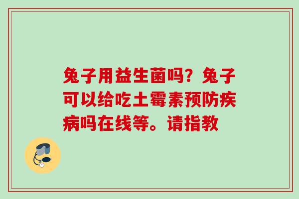 兔子用益生菌吗?兔子可以给吃土霉素吗在线等。请指教 兔子用益生菌吗?兔子可以给吃土霉素吗在线等。请指教