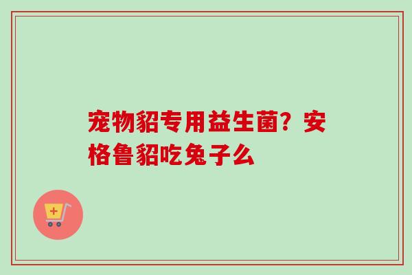 宠物貂专用益生菌？安格鲁貂吃兔子么