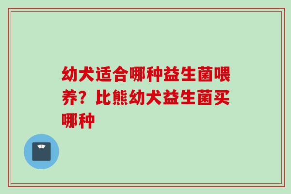 幼犬适合哪种益生菌喂养?比熊幼犬益生菌买哪种 幼犬适合哪种益生菌喂养?比熊幼犬益生菌买哪种