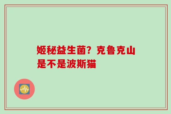 姬秘益生菌？克鲁克山是不是波斯猫