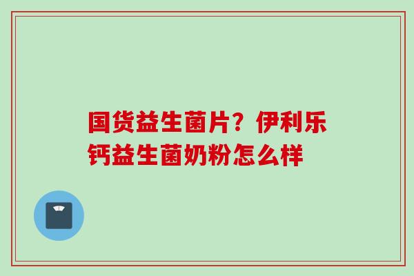 国货益生菌片?伊利乐钙益生菌奶粉怎么样 国货益生菌片?伊利乐钙益生菌奶粉怎么样