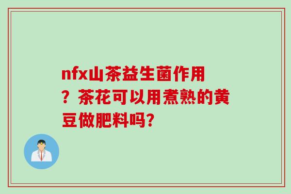 nfx山茶益生菌作用？茶花可以用煮熟的黄豆做肥料吗？