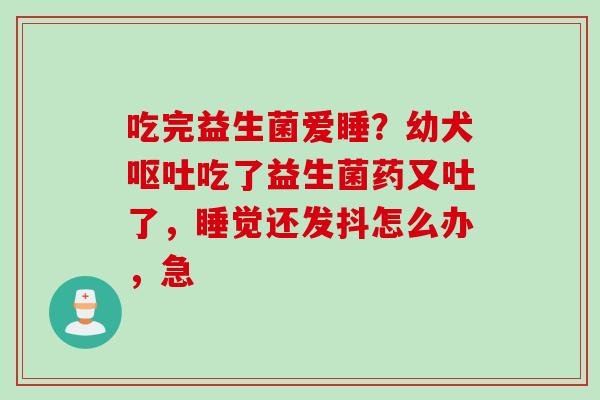 吃完益生菌爱睡?幼犬吃了益生菌药又吐了,睡觉还发抖怎么办,急 吃完益生菌爱睡?幼犬吃了益生菌药又吐了,睡觉还发抖怎么办,急