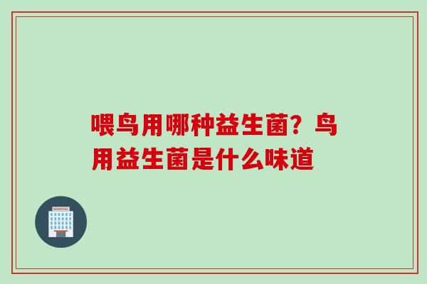 喂鸟用哪种益生菌？鸟用益生菌是什么味道