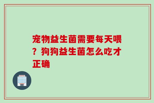 宠物益生菌需要每天喂？狗狗益生菌怎么吃才正确