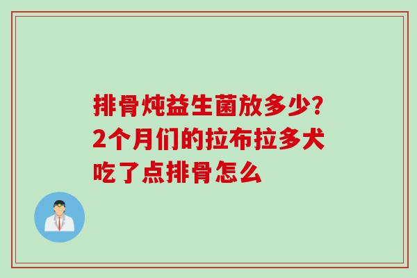 排骨炖益生菌放多少？2个月们的拉布拉多犬吃了点排骨怎么
