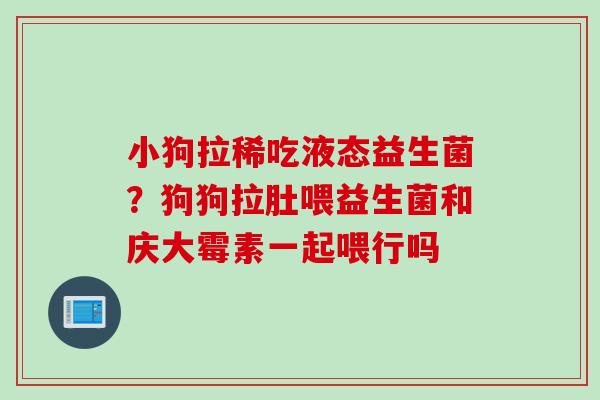 小狗拉稀吃液态益生菌？狗狗拉肚喂益生菌和庆大霉素一起喂行吗