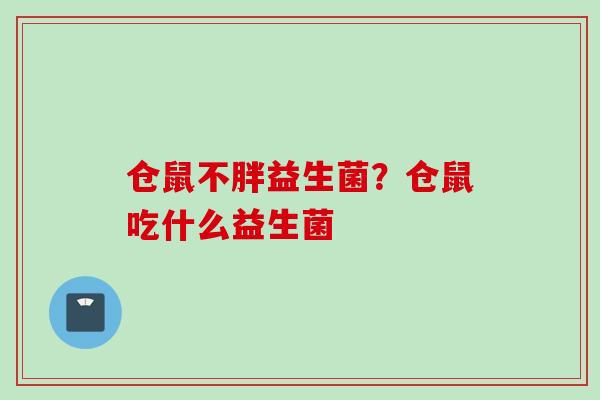 仓鼠不胖益生菌？仓鼠吃什么益生菌