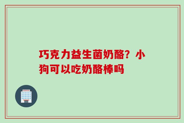 巧克力益生菌奶酪？小狗可以吃奶酪棒吗