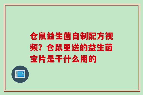 仓鼠益生菌自制配方视频？仓鼠里送的益生菌宝片是干什么用的