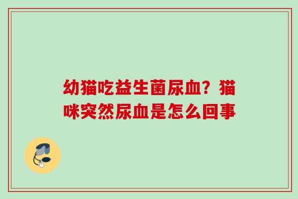 幼猫吃益生菌尿？猫咪突然尿是怎么回事