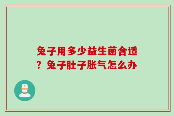 兔子用多少益生菌合适？兔子肚子怎么办