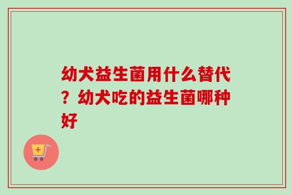 幼犬益生菌用什么替代？幼犬吃的益生菌哪种好