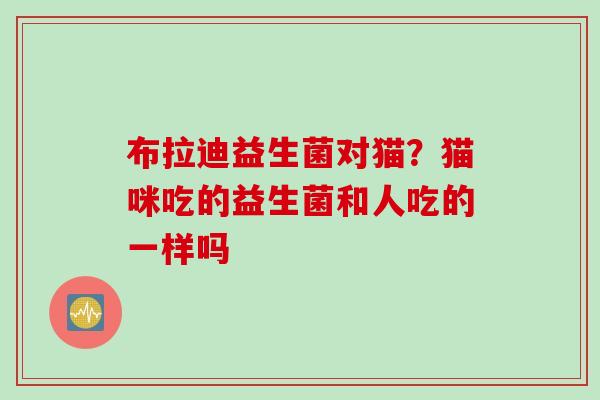 布拉迪益生菌对猫？猫咪吃的益生菌和人吃的一样吗