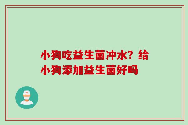 小狗吃益生菌冲水？给小狗添加益生菌好吗