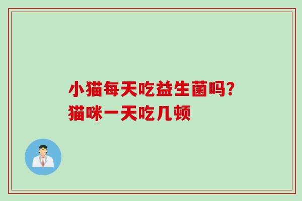 小猫每天吃益生菌吗？猫咪一天吃几顿
