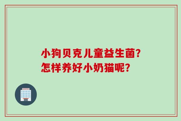 小狗贝克儿童益生菌？怎样养好小奶猫呢？