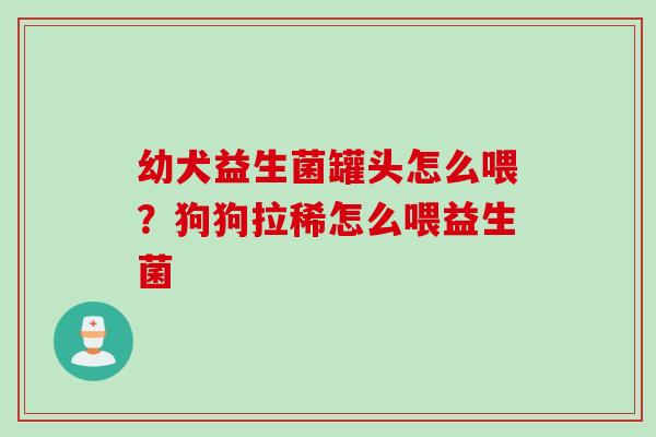 幼犬益生菌罐头怎么喂？狗狗拉稀怎么喂益生菌