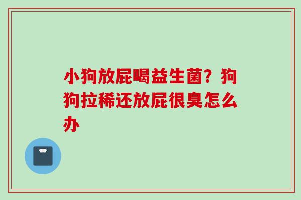 小狗放屁喝益生菌？狗狗拉稀还放屁很臭怎么办