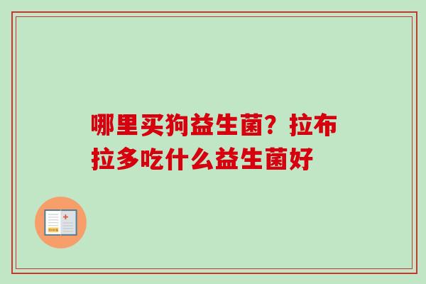 哪里买狗益生菌?拉布拉多吃什么益生菌好 哪里买狗益生菌?拉布拉多吃什么益生菌好