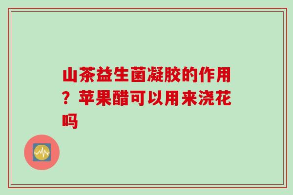 山茶益生菌凝胶的作用？苹果醋可以用来浇花吗