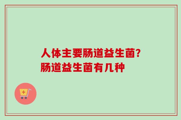 人体主要肠道益生菌？肠道益生菌有几种