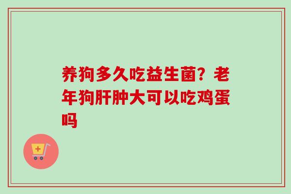 养狗多久吃益生菌？老年狗肿大可以吃鸡蛋吗