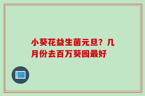 小葵花益生菌元旦?几月份去百万葵园好 小葵花益生菌元旦?几月份去百万葵园好