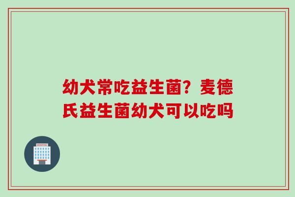 幼犬常吃益生菌?麦德氏益生菌幼犬可以吃吗 幼犬常吃益生菌?麦德氏益生菌幼犬可以吃吗