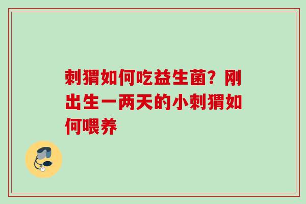 刺猬如何吃益生菌?刚出生一两天的小刺猬如何喂养 刺猬如何吃益生菌?刚出生一两天的小刺猬如何喂养