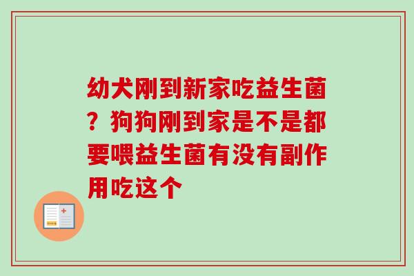 幼犬刚到新家吃益生菌?狗狗刚到家是不是都要喂益生菌有没有副作用吃这个 幼犬刚到新家吃益生菌?狗狗刚到家是不是都要喂益生菌有没有副作用吃这个