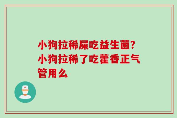 小狗拉稀屎吃益生菌？小狗拉稀了吃藿香正气管用么
