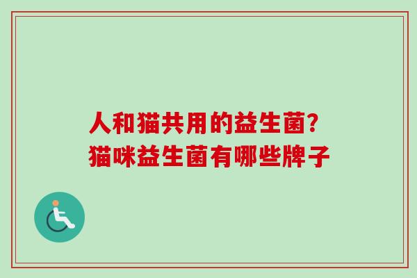 人和猫共用的益生菌？猫咪益生菌有哪些牌子