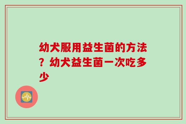 幼犬服用益生菌的方法?幼犬益生菌一次吃多少 幼犬服用益生菌的方法?幼犬益生菌一次吃多少