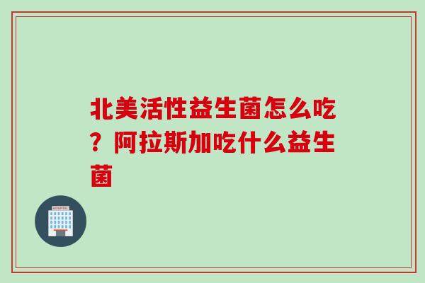 北美活性益生菌怎么吃?阿拉斯加吃什么益生菌 北美活性益生菌怎么吃?阿拉斯加吃什么益生菌