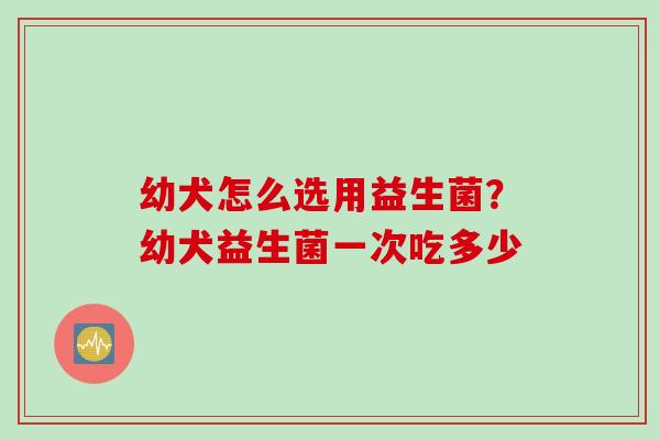 幼犬怎么选用益生菌？幼犬益生菌一次吃多少