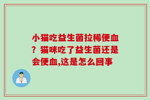 小猫吃益生菌拉稀便?猫咪吃了益生菌还是会便,这是怎么回事 小猫吃益生菌拉稀便?猫咪吃了益生菌还是会便,这是怎么回事