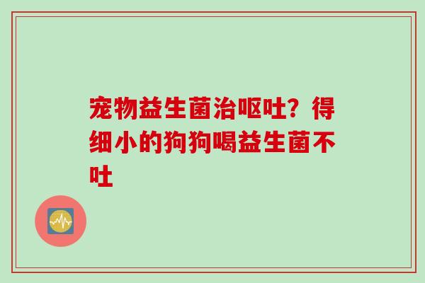 宠物益生菌？得细小的狗狗喝益生菌不吐