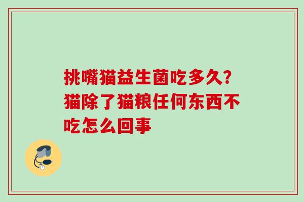 挑嘴猫益生菌吃多久？猫除了猫粮任何东西不吃怎么回事