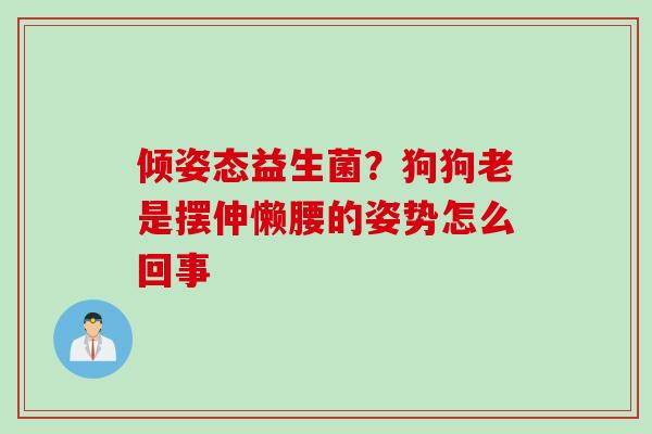 倾姿态益生菌?狗狗老是摆伸懒腰的姿势怎么回事 倾姿态益生菌?狗狗老是摆伸懒腰的姿势怎么回事