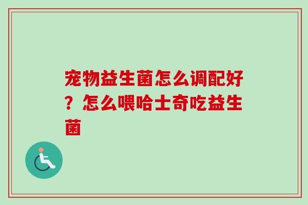 宠物益生菌怎么调配好？怎么喂哈士奇吃益生菌