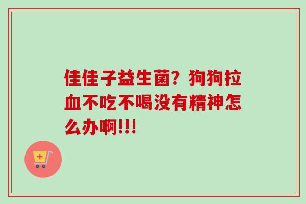 佳佳子益生菌？狗狗拉不吃不喝没有精神怎么办啊!!!