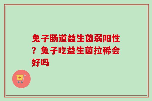 兔子肠道益生菌弱阳性？兔子吃益生菌拉稀会好吗